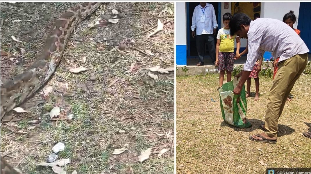 ভোটকেন্দ্রে অজগর উদ্ধার, মুহূর্তে চাঞ্চল্য