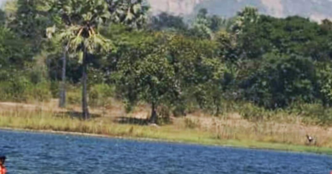 ফুটিয়ারি ড্যাম সংলগ্ন জঙ্গলে অজ্ঞাত যুবকের ঝু*লন্ত দেহ