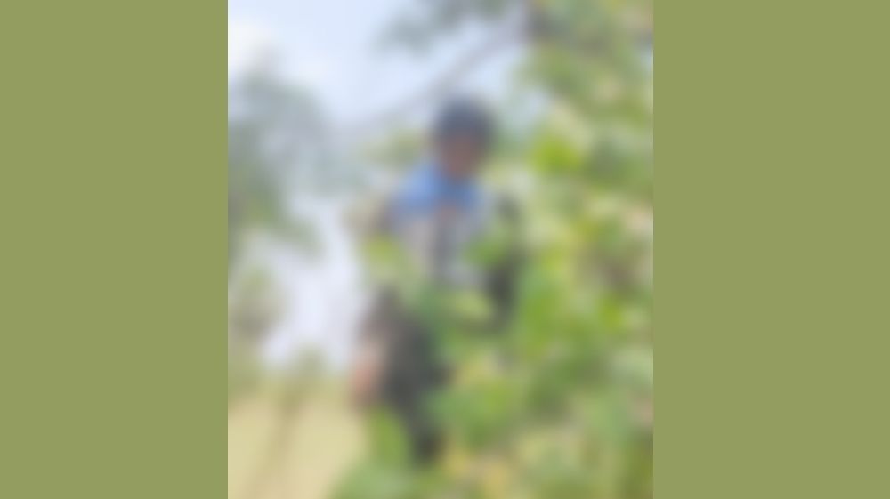 পলাশ গাছে তরুণীর ঝুলন্ত দেহ, চাঞ্চল্য বোরো এলাকায়