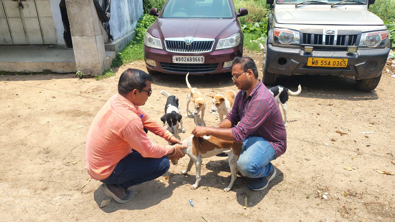 মালদা থেকে রঘুনাথপুর এসে ১৫০ পথ কুকুরকে জলাতঙ্ক টিকা দিলেন চিকিৎসক