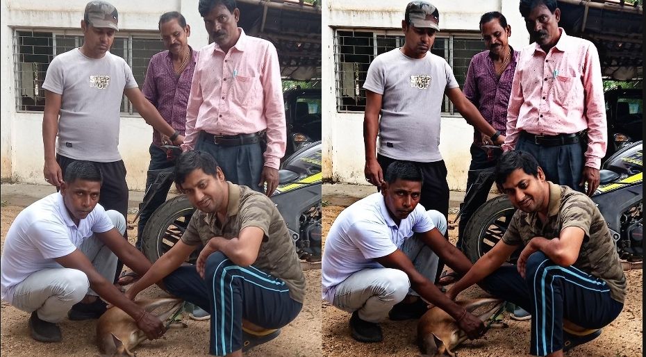 জঙ্গল থেকে লোকালয়ে চলে আসা হরিণ উদ্ধার ঝালদায়