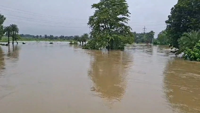 পুরুলিয়া বাঁকুড়া সড়ক যেন নদী, তীব্র বর্ষণে বাইকসহ ভেসে গেলেন আরোহী