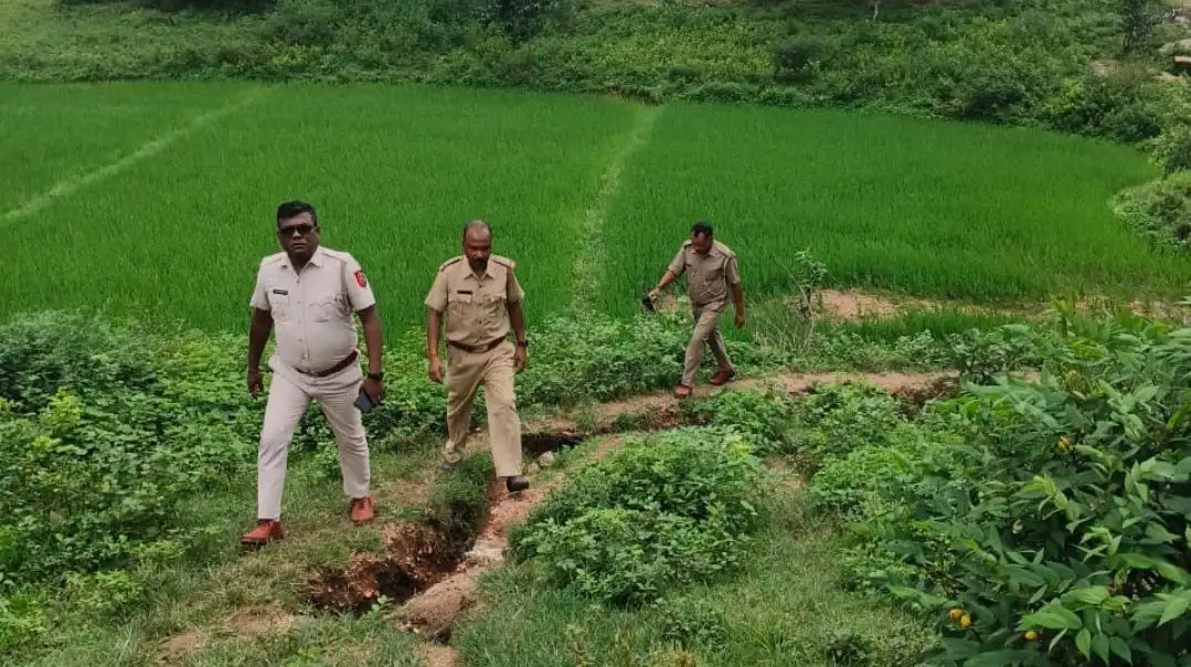পোস্ত চাষ রুখতে বাঘমুন্ডি জুড়ে ফের যৌথ অভিযানে পুলিশ ও বন দপ্তর