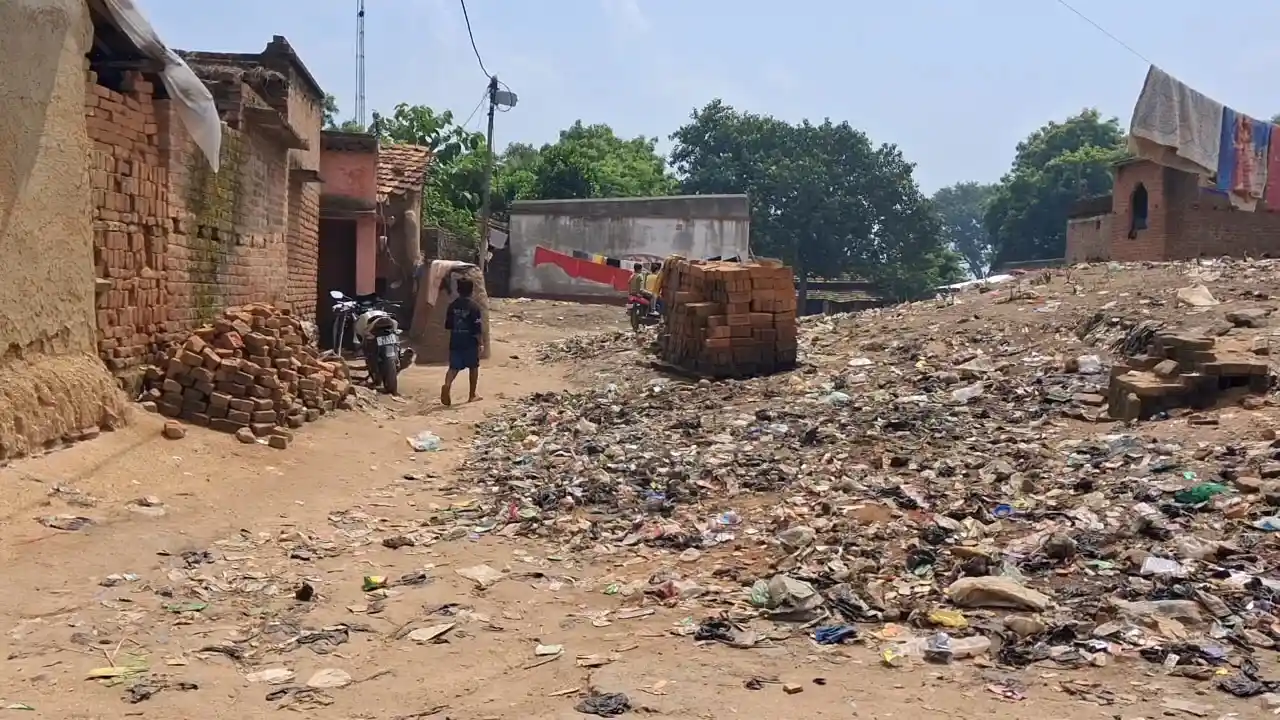আবর্জনাতেই পুরুলিয়ায় বাড়ছে ডেঙ্গু, আক্রান্ত ৪৩