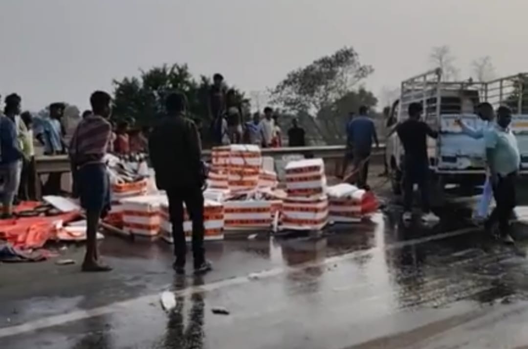 জাতীয় সড়কে গাদা গাদা মাছ! এ কী কাণ্ড বলরামপুরে!